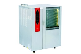 Steam Convection Oven/Electric Operated